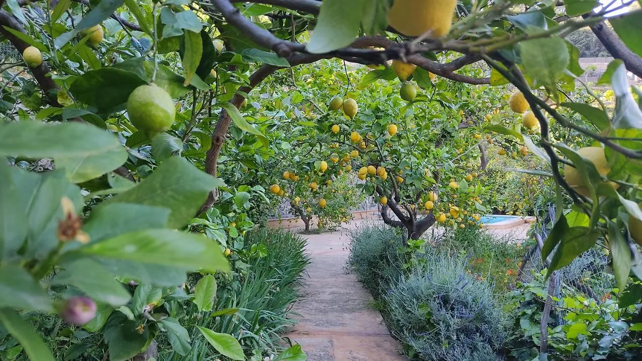 Ca Na Menga Villa Soller