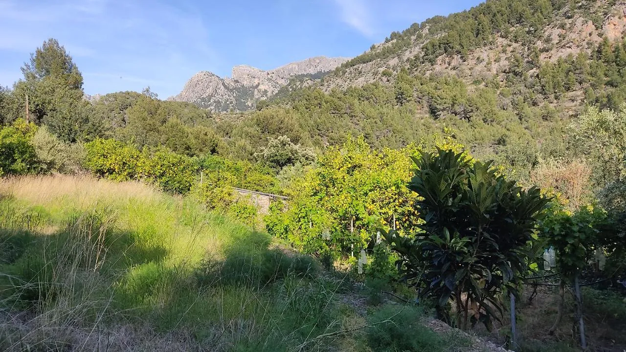 Ca Na Menga Villa Soller Spain